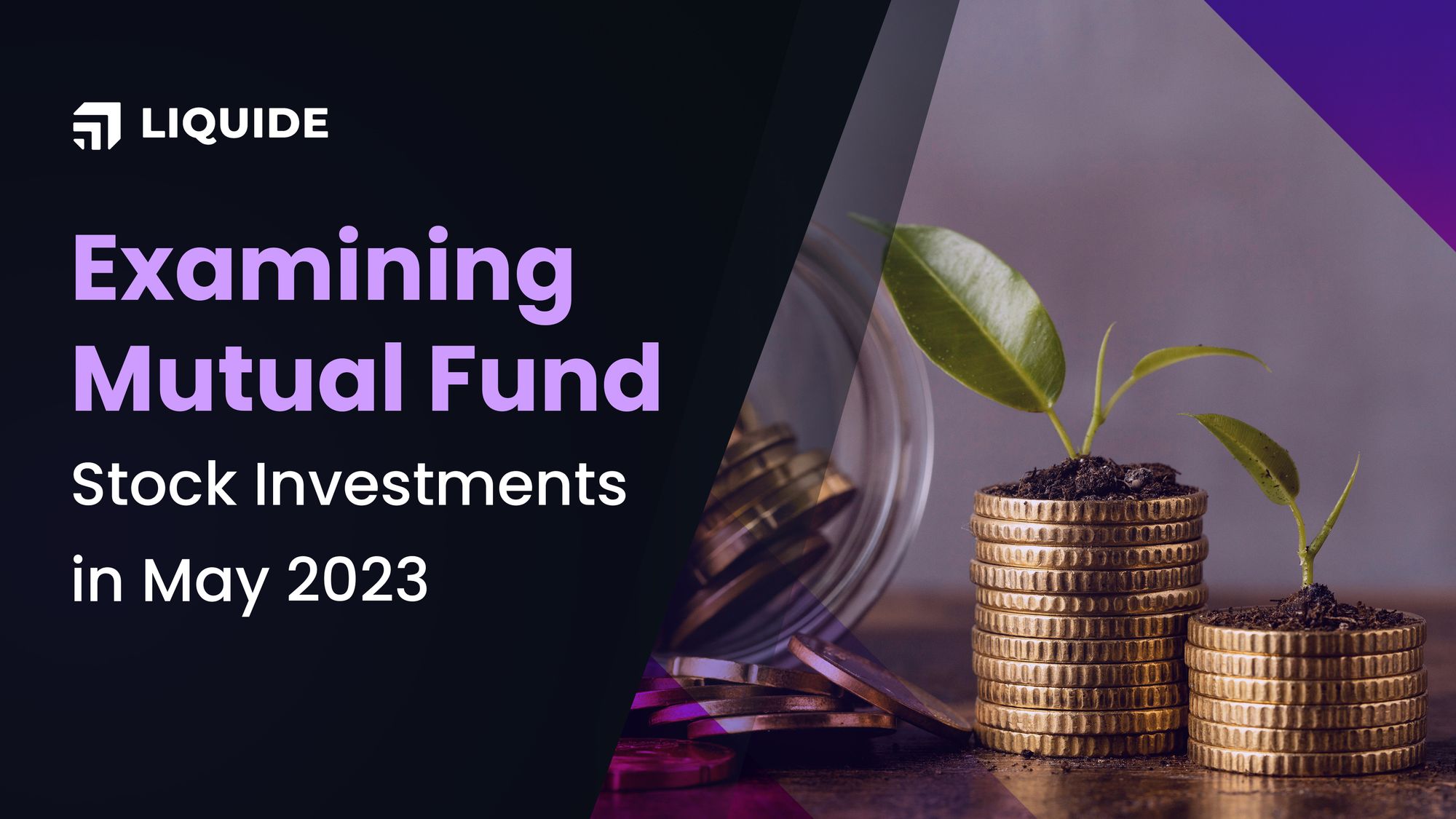 liquide, mutual funds investment into stocks, may 2023, indian stock market, nse, bse, amf